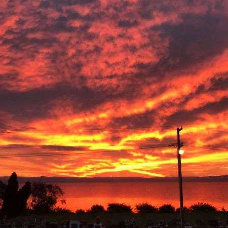 Windsor Lodge & Caravan Park Waitahanui Ngoại thất bức ảnh
